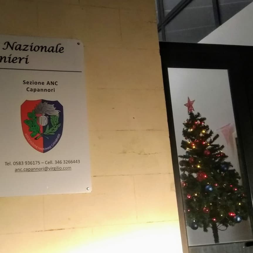 L'albero del Nucleo ANC-PC Lucca