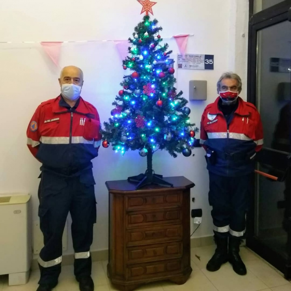 L'albero del Nucleo ANC-PC Lucca