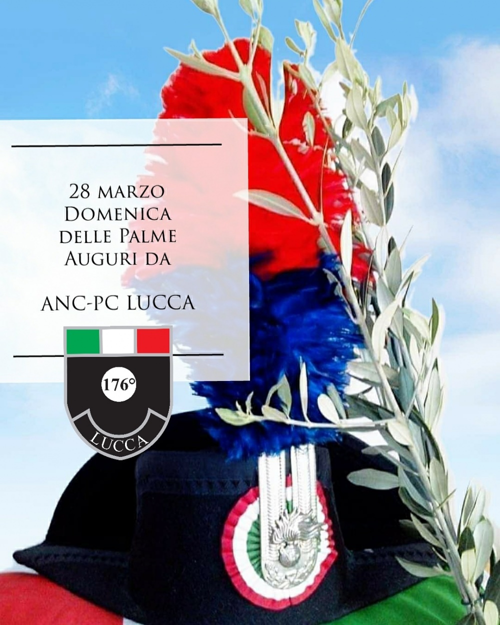 Buona domenica delle Palme a tutti